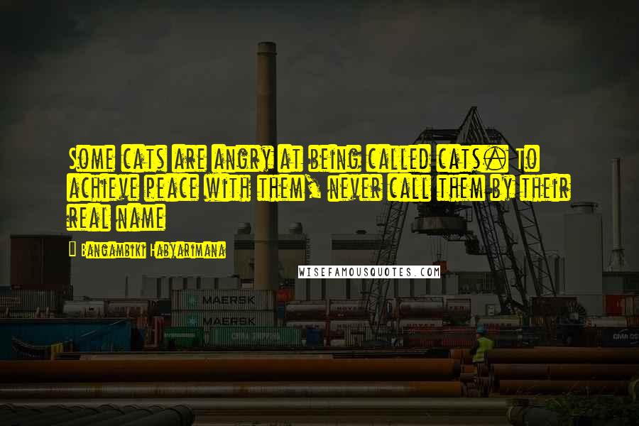 Bangambiki Habyarimana Quotes: Some cats are angry at being called cats. To achieve peace with them, never call them by their real name