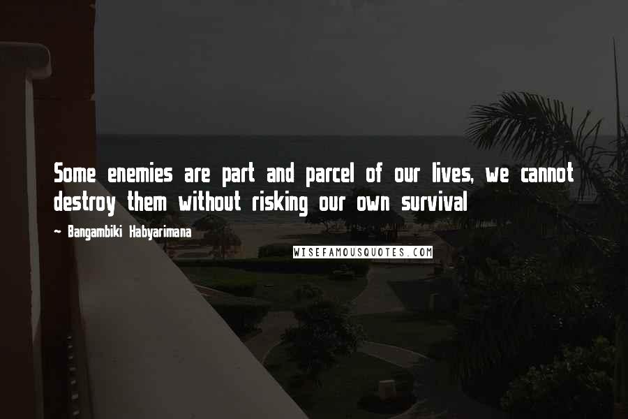 Bangambiki Habyarimana Quotes: Some enemies are part and parcel of our lives, we cannot destroy them without risking our own survival