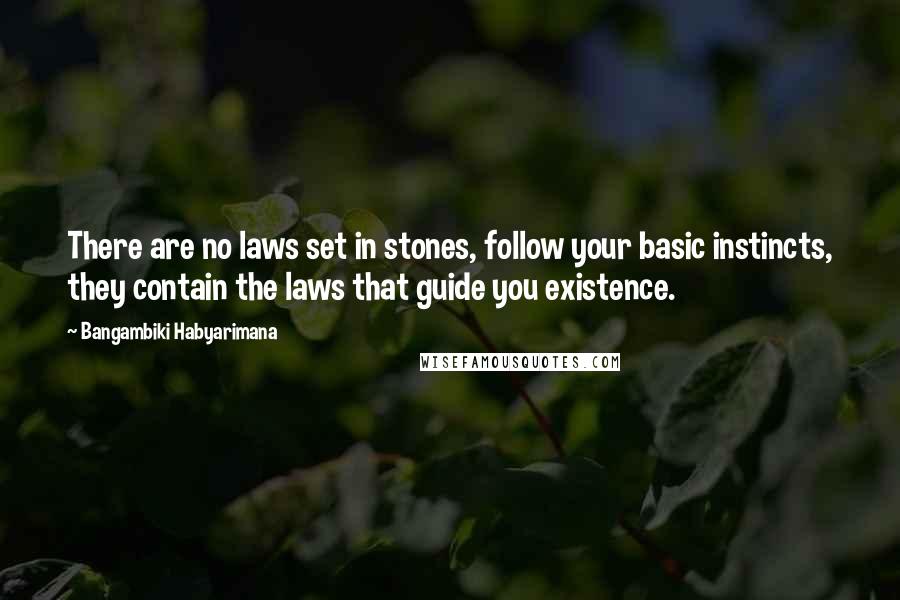 Bangambiki Habyarimana Quotes: There are no laws set in stones, follow your basic instincts, they contain the laws that guide you existence.