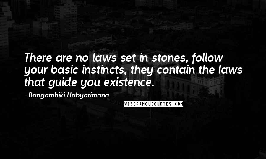 Bangambiki Habyarimana Quotes: There are no laws set in stones, follow your basic instincts, they contain the laws that guide you existence.