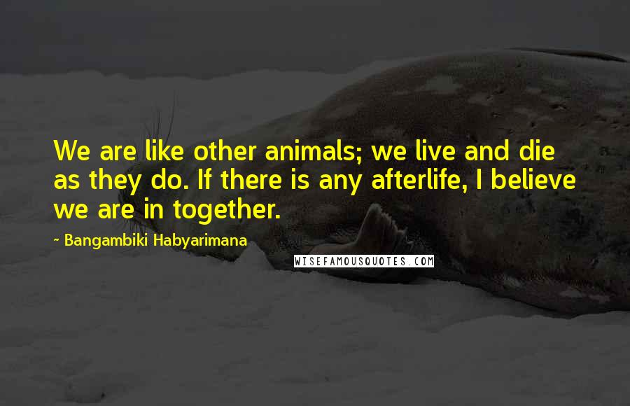 Bangambiki Habyarimana Quotes: We are like other animals; we live and die as they do. If there is any afterlife, I believe we are in together.