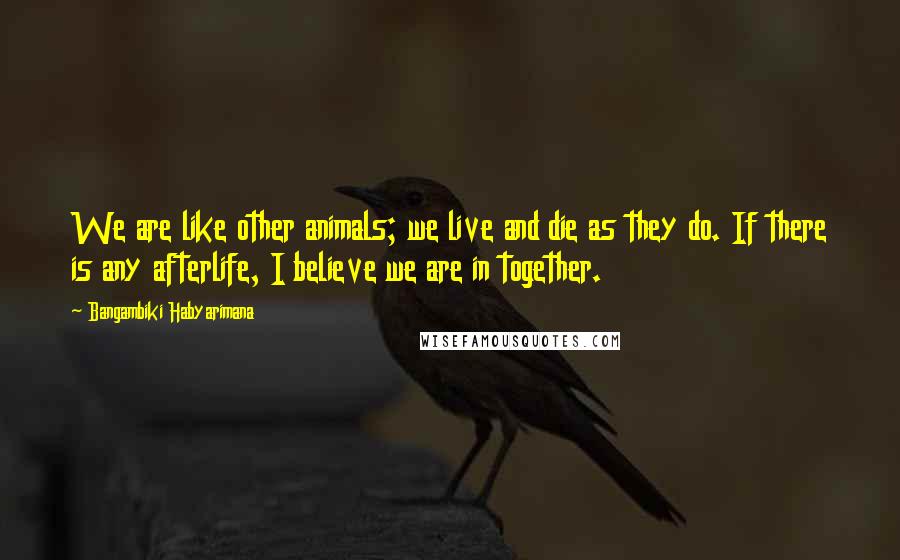 Bangambiki Habyarimana Quotes: We are like other animals; we live and die as they do. If there is any afterlife, I believe we are in together.