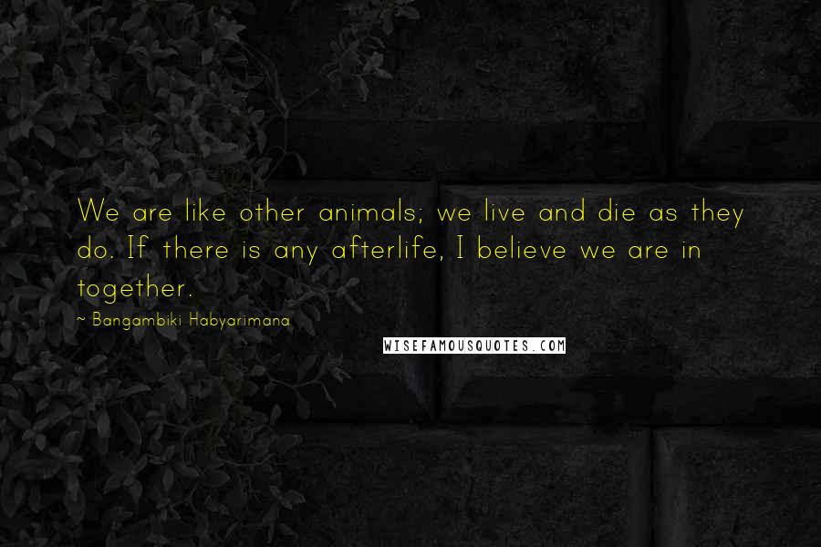 Bangambiki Habyarimana Quotes: We are like other animals; we live and die as they do. If there is any afterlife, I believe we are in together.