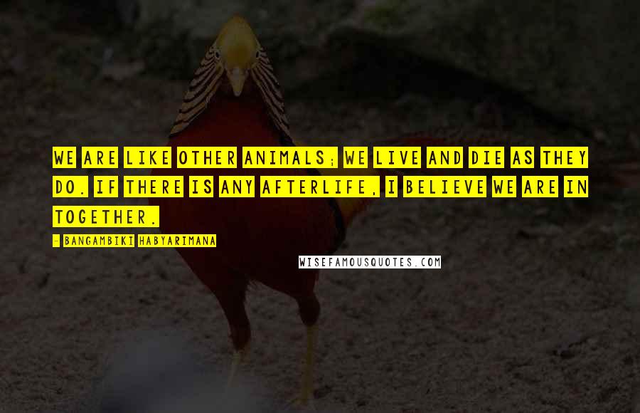 Bangambiki Habyarimana Quotes: We are like other animals; we live and die as they do. If there is any afterlife, I believe we are in together.