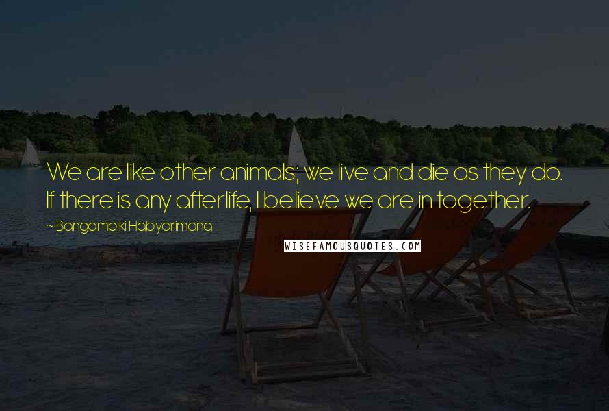 Bangambiki Habyarimana Quotes: We are like other animals; we live and die as they do. If there is any afterlife, I believe we are in together.