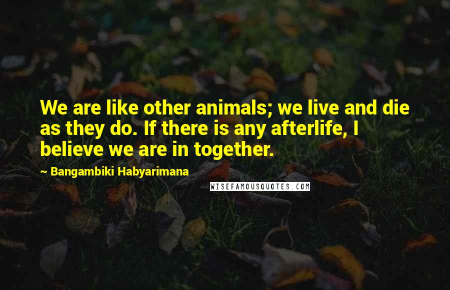 Bangambiki Habyarimana Quotes: We are like other animals; we live and die as they do. If there is any afterlife, I believe we are in together.