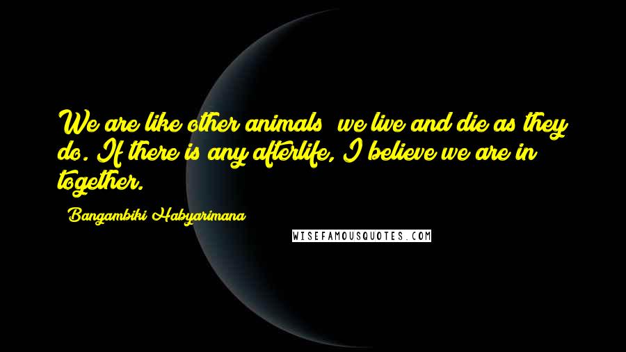 Bangambiki Habyarimana Quotes: We are like other animals; we live and die as they do. If there is any afterlife, I believe we are in together.