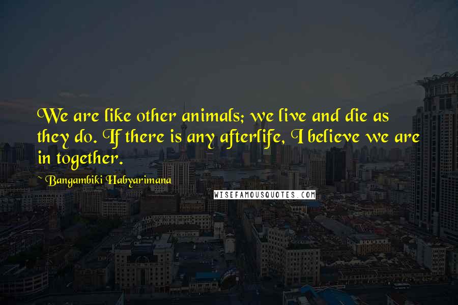 Bangambiki Habyarimana Quotes: We are like other animals; we live and die as they do. If there is any afterlife, I believe we are in together.