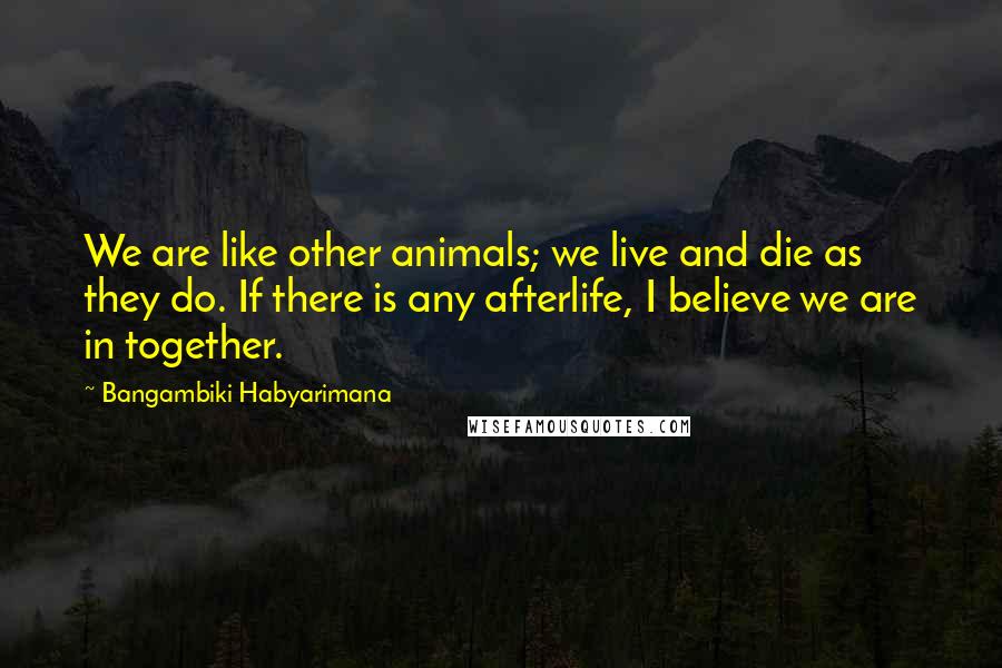 Bangambiki Habyarimana Quotes: We are like other animals; we live and die as they do. If there is any afterlife, I believe we are in together.