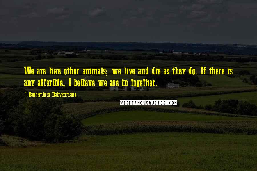 Bangambiki Habyarimana Quotes: We are like other animals; we live and die as they do. If there is any afterlife, I believe we are in together.