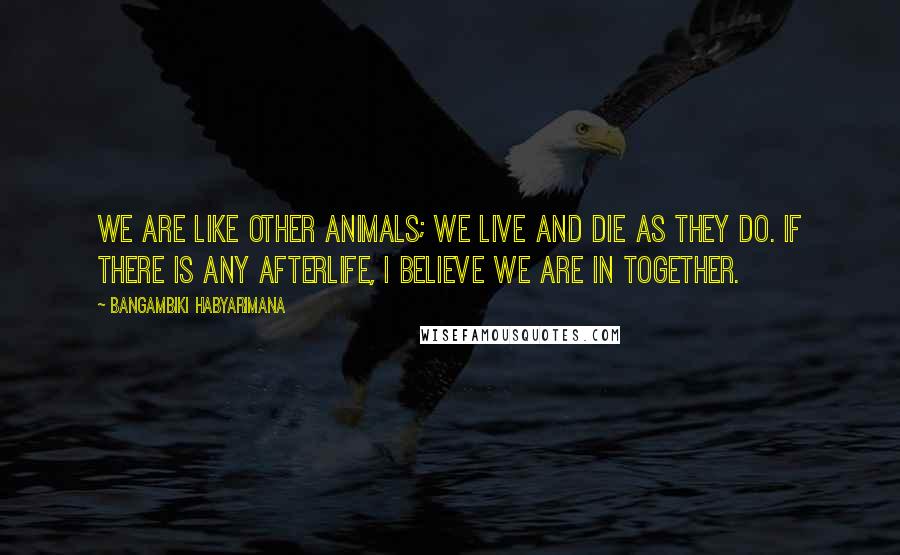 Bangambiki Habyarimana Quotes: We are like other animals; we live and die as they do. If there is any afterlife, I believe we are in together.