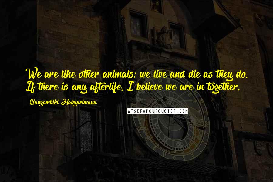 Bangambiki Habyarimana Quotes: We are like other animals; we live and die as they do. If there is any afterlife, I believe we are in together.