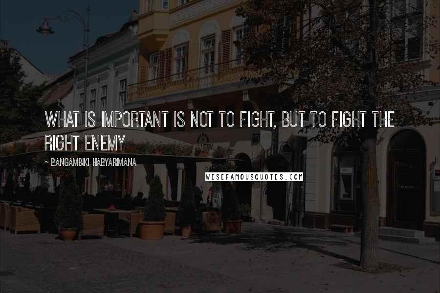 Bangambiki Habyarimana Quotes: What is important is not to fight, but to fight the right enemy