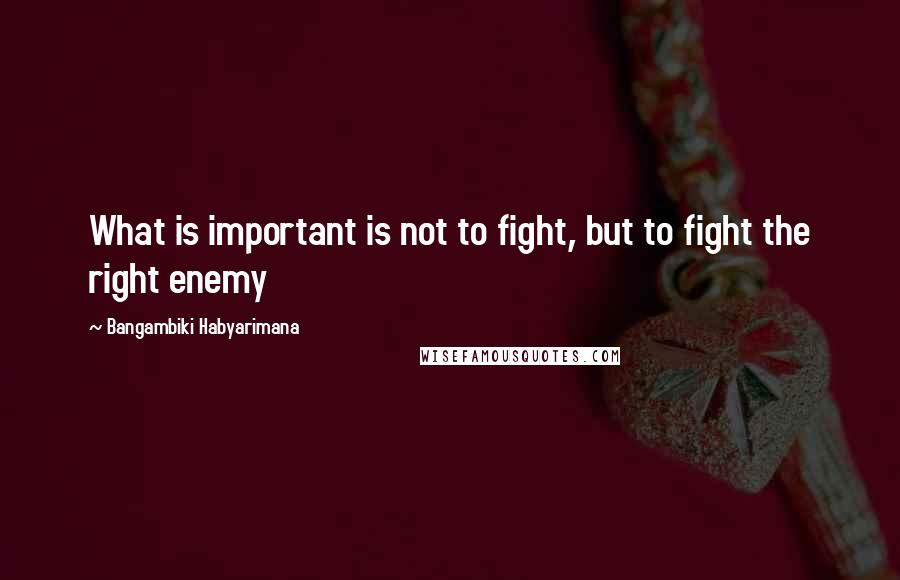 Bangambiki Habyarimana Quotes: What is important is not to fight, but to fight the right enemy