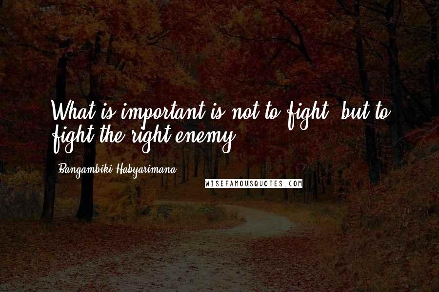 Bangambiki Habyarimana Quotes: What is important is not to fight, but to fight the right enemy