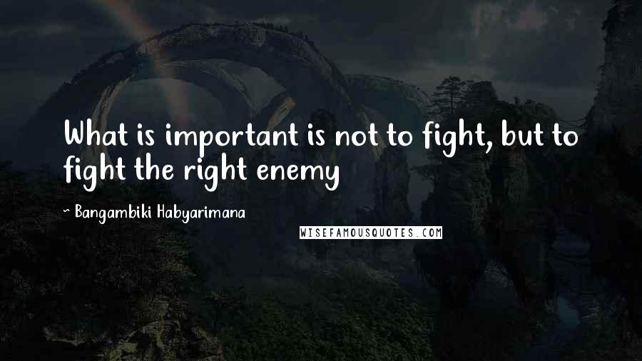 Bangambiki Habyarimana Quotes: What is important is not to fight, but to fight the right enemy