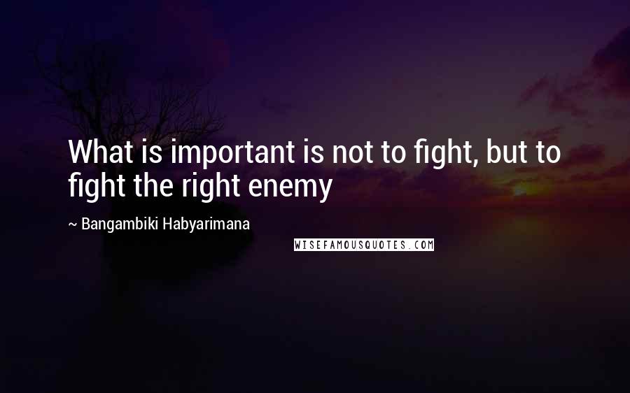 Bangambiki Habyarimana Quotes: What is important is not to fight, but to fight the right enemy