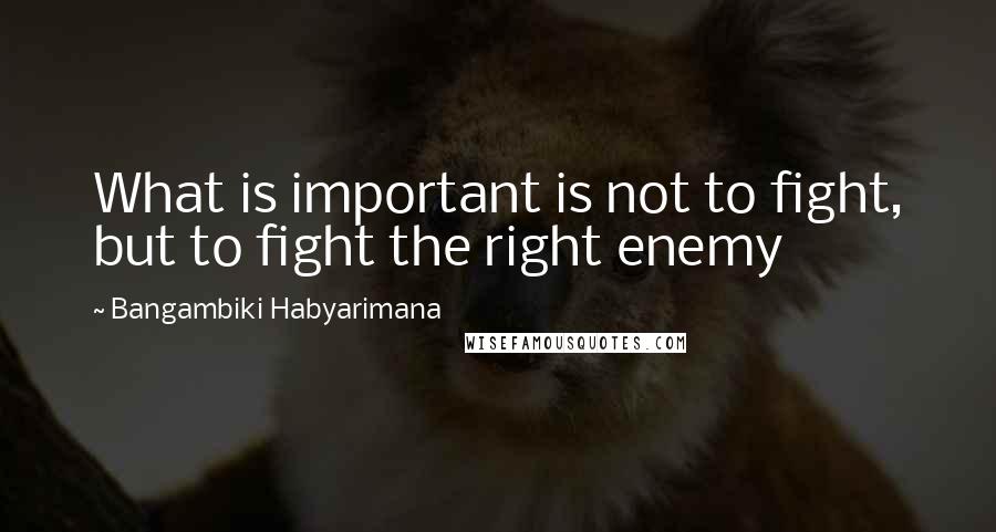 Bangambiki Habyarimana Quotes: What is important is not to fight, but to fight the right enemy