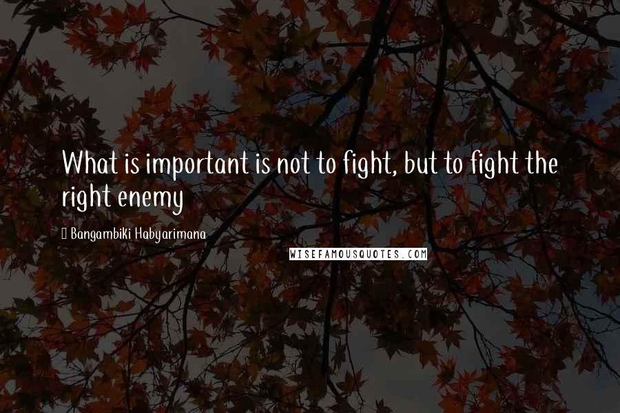 Bangambiki Habyarimana Quotes: What is important is not to fight, but to fight the right enemy