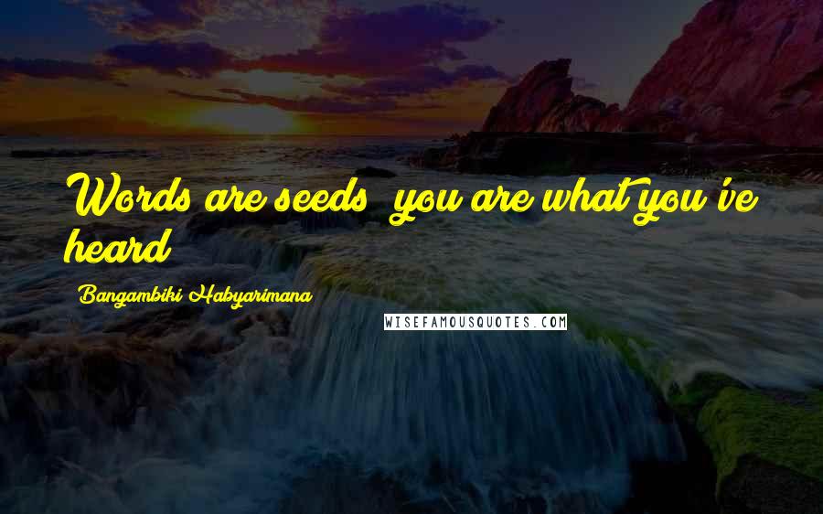 Bangambiki Habyarimana Quotes: Words are seeds; you are what you've heard