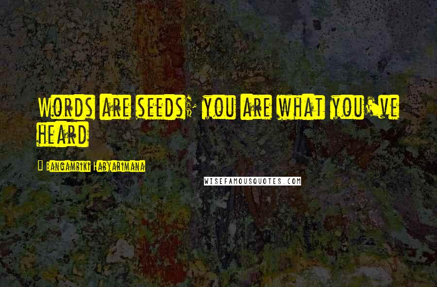 Bangambiki Habyarimana Quotes: Words are seeds; you are what you've heard