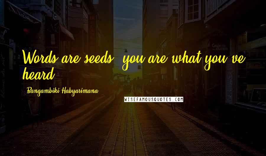 Bangambiki Habyarimana Quotes: Words are seeds; you are what you've heard