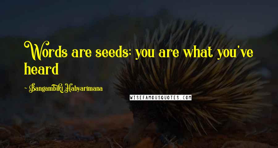 Bangambiki Habyarimana Quotes: Words are seeds; you are what you've heard