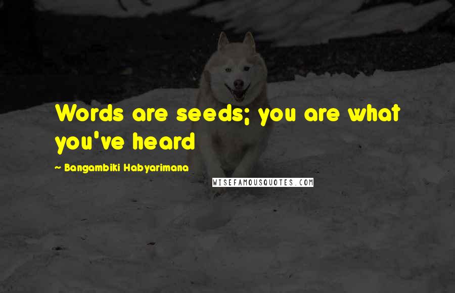 Bangambiki Habyarimana Quotes: Words are seeds; you are what you've heard