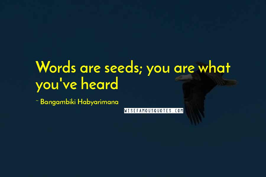 Bangambiki Habyarimana Quotes: Words are seeds; you are what you've heard