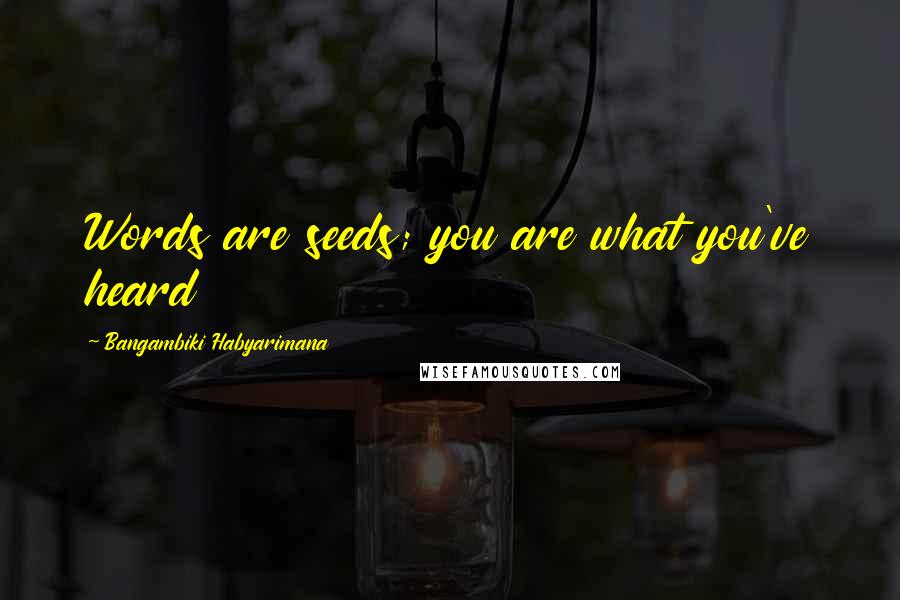 Bangambiki Habyarimana Quotes: Words are seeds; you are what you've heard
