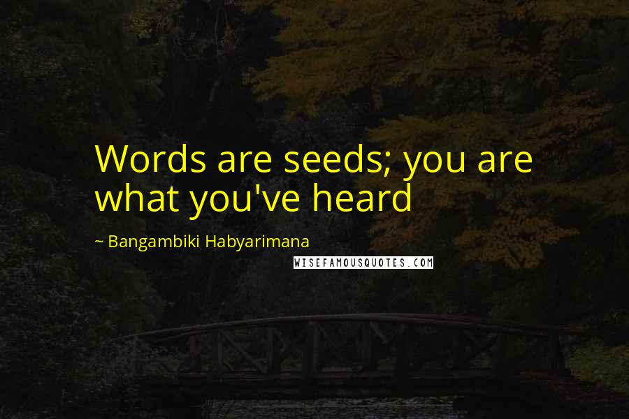 Bangambiki Habyarimana Quotes: Words are seeds; you are what you've heard