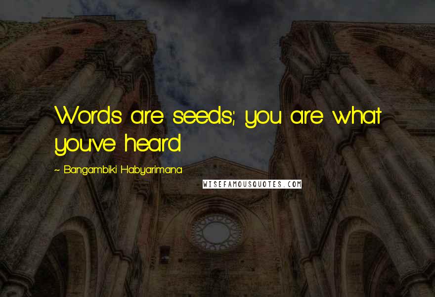 Bangambiki Habyarimana Quotes: Words are seeds; you are what you've heard