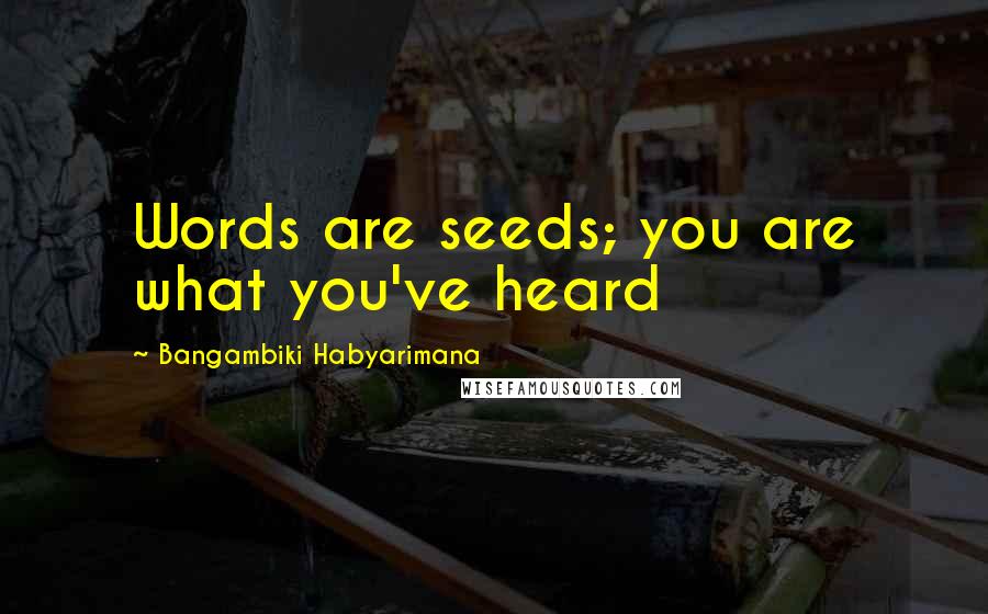 Bangambiki Habyarimana Quotes: Words are seeds; you are what you've heard