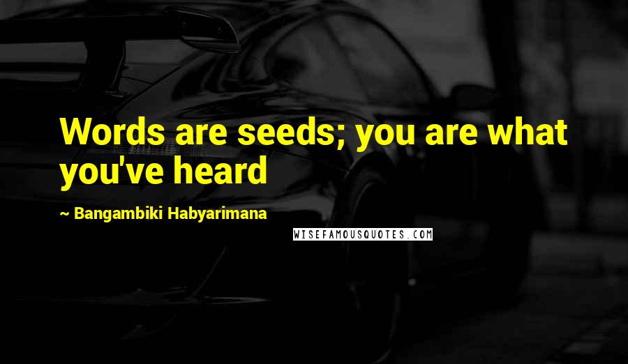 Bangambiki Habyarimana Quotes: Words are seeds; you are what you've heard