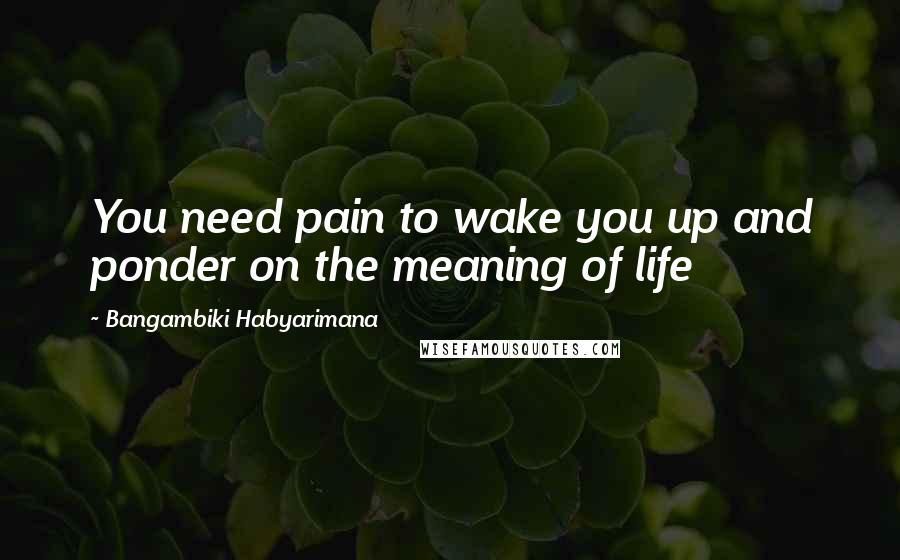 Bangambiki Habyarimana Quotes: You need pain to wake you up and ponder on the meaning of life