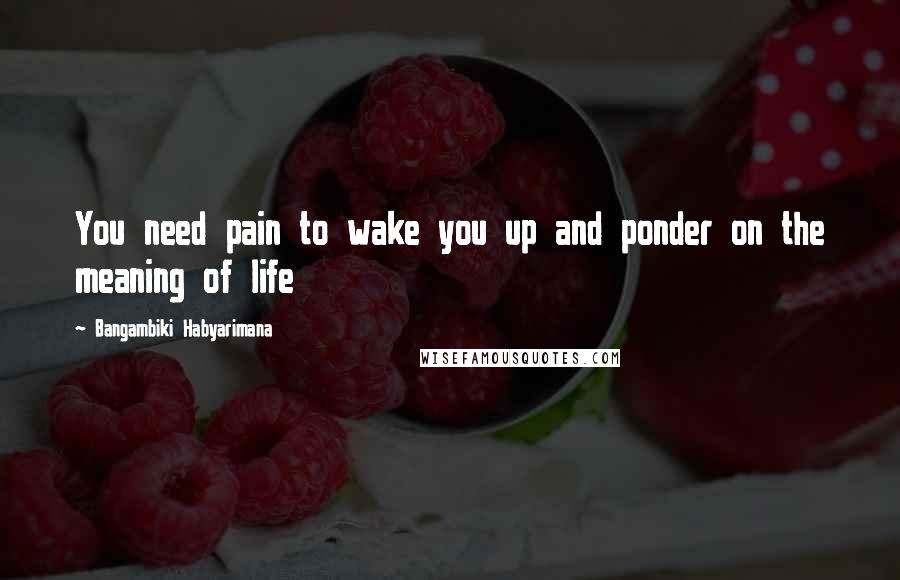 Bangambiki Habyarimana Quotes: You need pain to wake you up and ponder on the meaning of life
