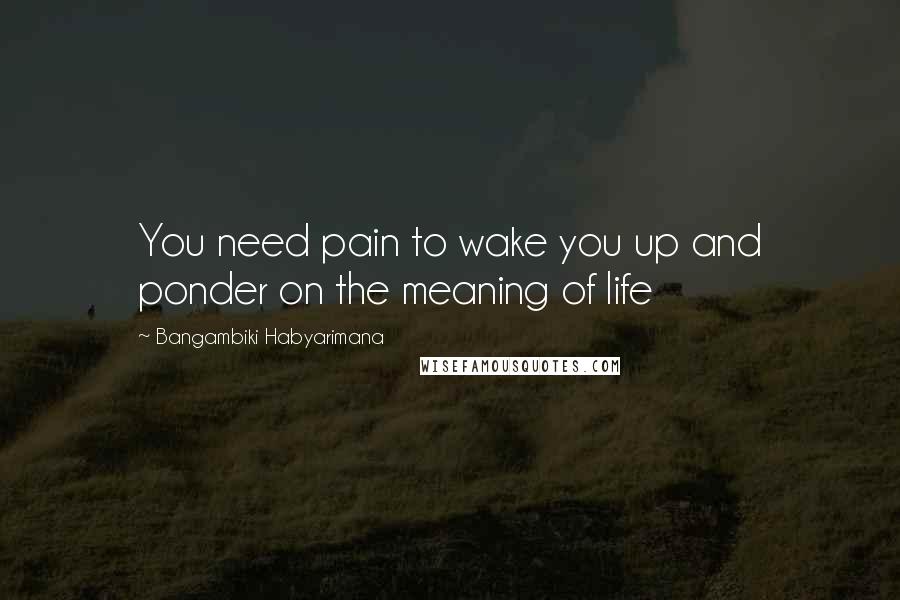 Bangambiki Habyarimana Quotes: You need pain to wake you up and ponder on the meaning of life