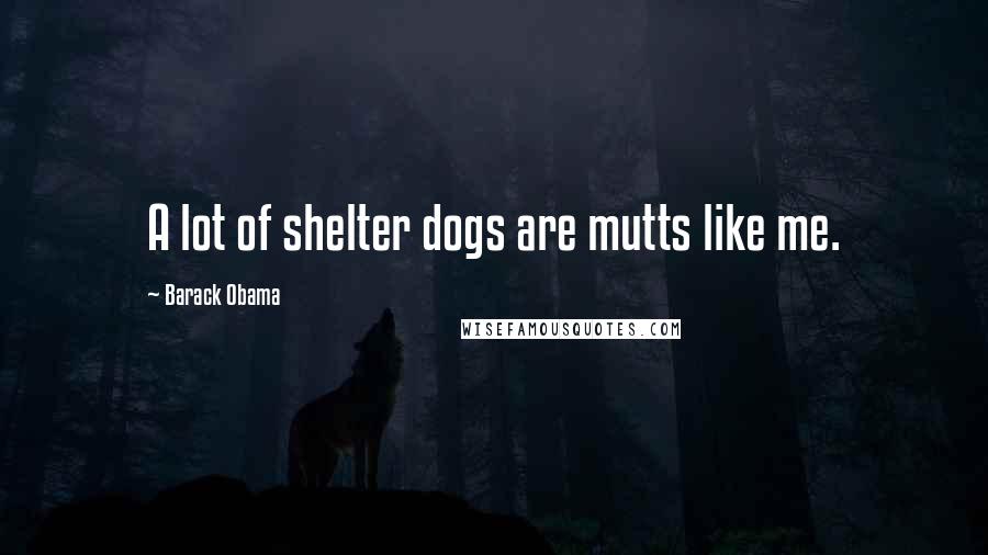 Barack Obama Quotes: A lot of shelter dogs are mutts like me.