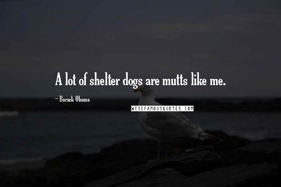 Barack Obama Quotes: A lot of shelter dogs are mutts like me.