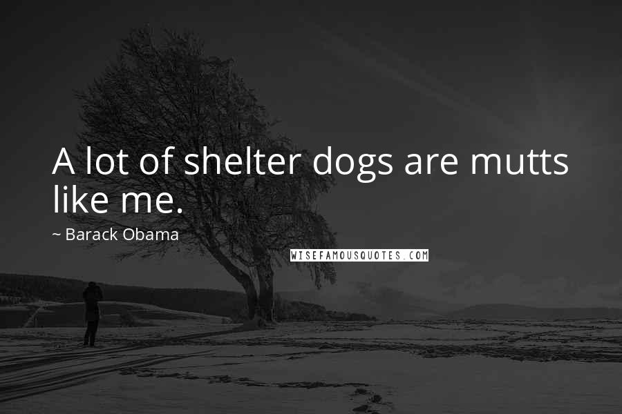 Barack Obama Quotes: A lot of shelter dogs are mutts like me.