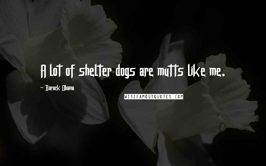 Barack Obama Quotes: A lot of shelter dogs are mutts like me.