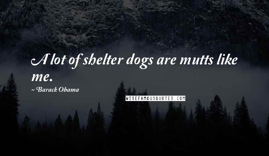 Barack Obama Quotes: A lot of shelter dogs are mutts like me.