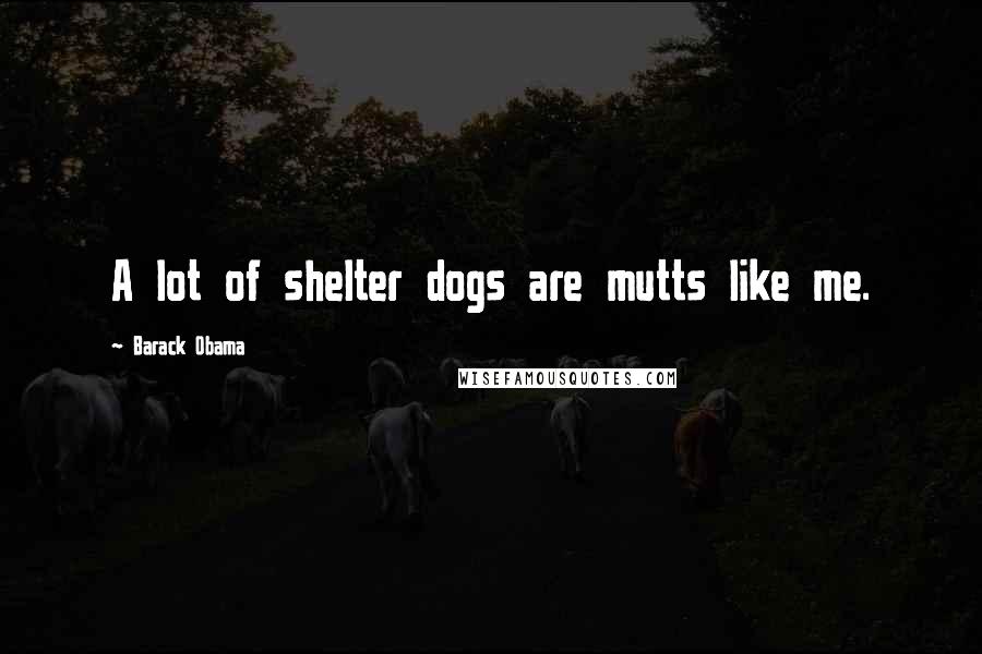 Barack Obama Quotes: A lot of shelter dogs are mutts like me.