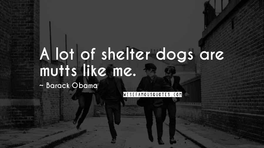 Barack Obama Quotes: A lot of shelter dogs are mutts like me.