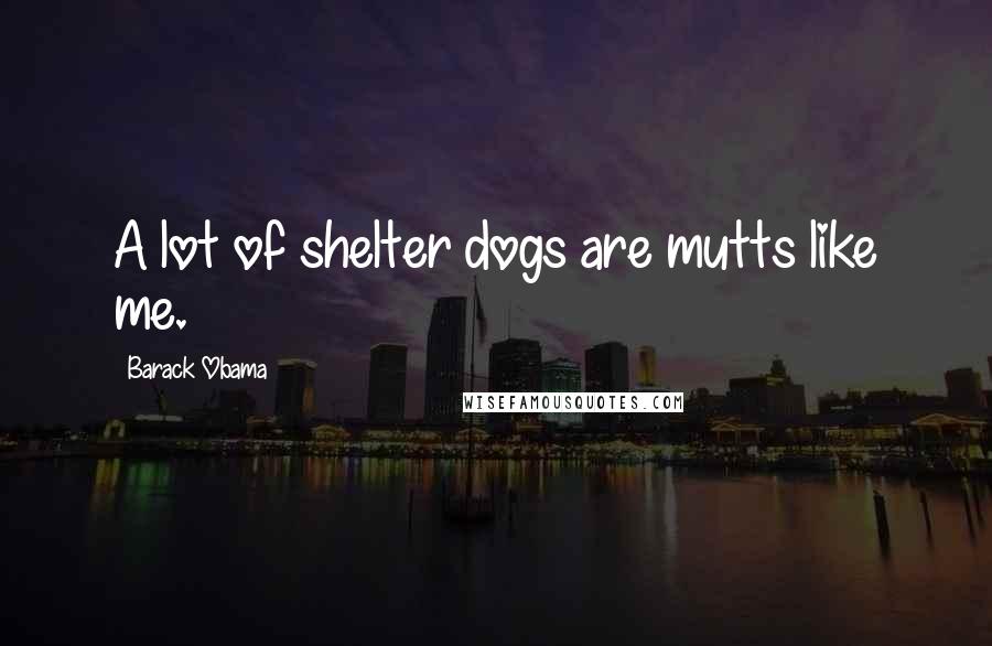 Barack Obama Quotes: A lot of shelter dogs are mutts like me.