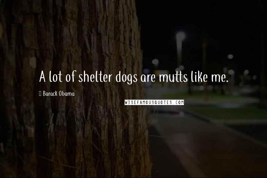 Barack Obama Quotes: A lot of shelter dogs are mutts like me.