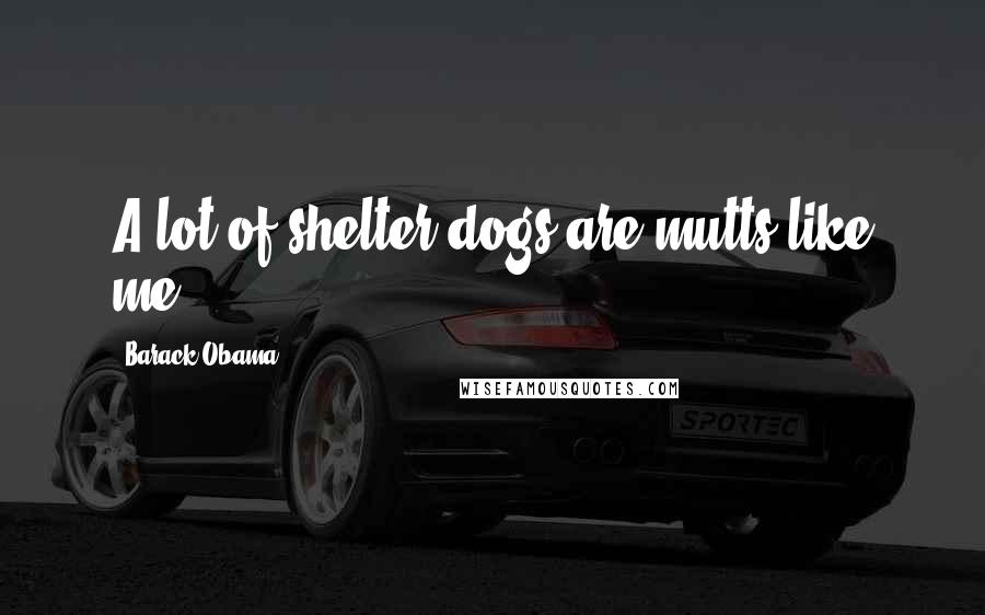 Barack Obama Quotes: A lot of shelter dogs are mutts like me.