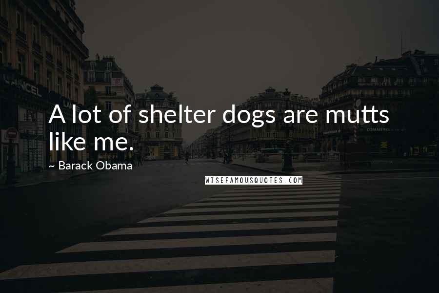 Barack Obama Quotes: A lot of shelter dogs are mutts like me.