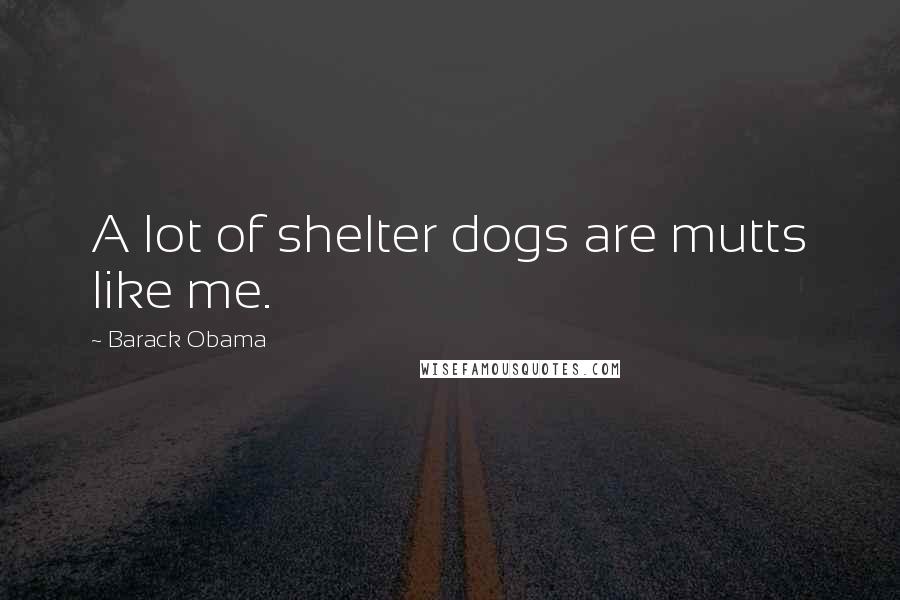 Barack Obama Quotes: A lot of shelter dogs are mutts like me.