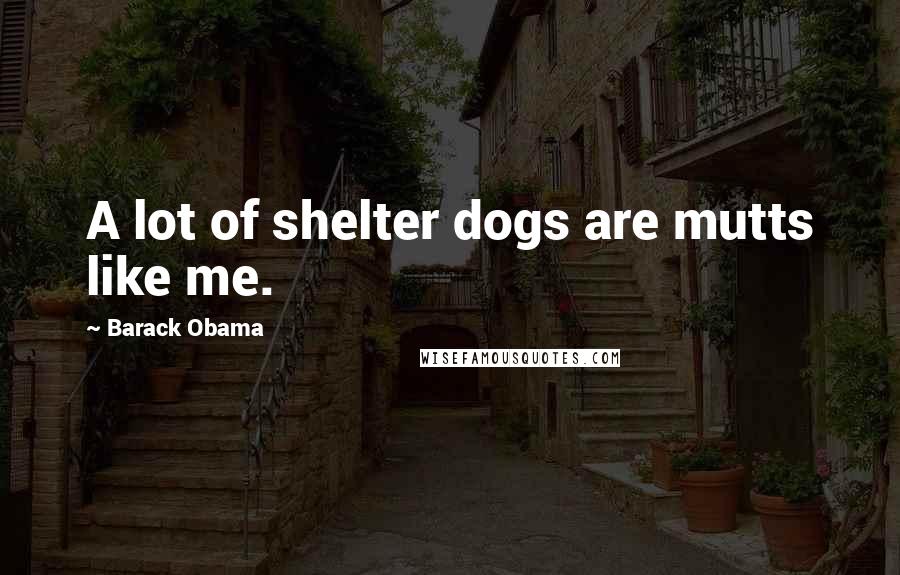 Barack Obama Quotes: A lot of shelter dogs are mutts like me.